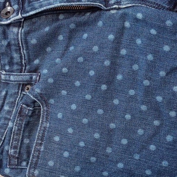 Lands' End Womens Mid Rise Slim Jean Sz 2 Blue Polka Dot Denim Fun Maximalist - Picture 3 of 9